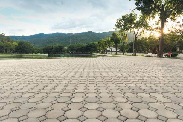 Best Residential Paver Driveway  in Tigerville, SC